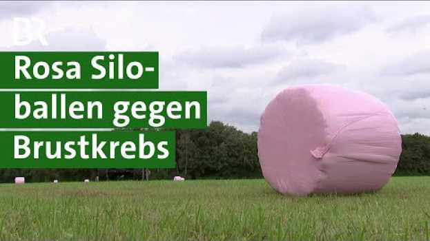 Video Rosa Siloballen auf der Wiese: Aktion von Landwirten zur Brustkrebsvorsorge | Silo | Unser Land | BR na Polish