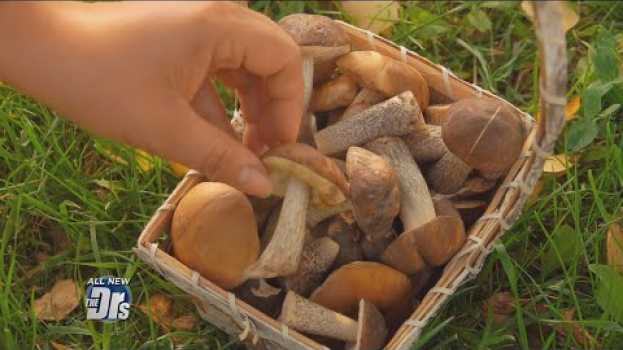 Video ‘Magic Mushrooms’: Should They be Legal? in English
