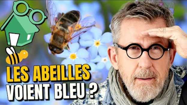 Видео Comment les abeilles repèrent les fleurs qu'elles butinent ? 🐝 🌼 на русском