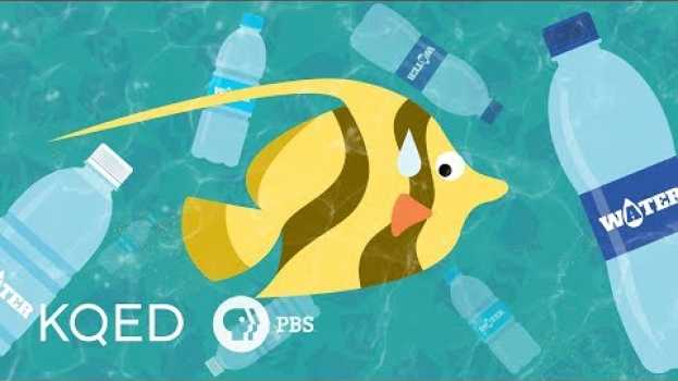 Video Would Banning Plastic Bottles Help or Hurt the Planet? su italiano
