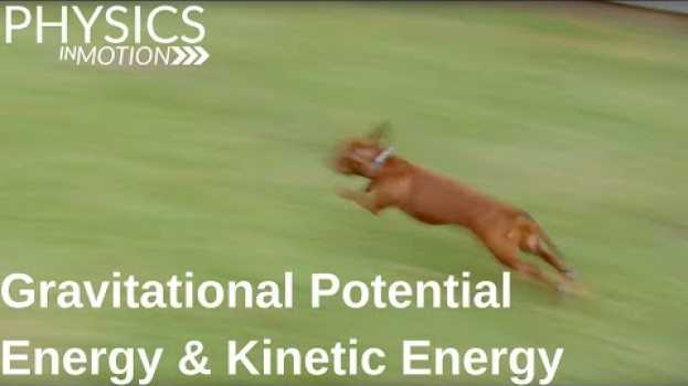 Видео What Are Gravitational Potential Energy and Kinetic Energy? | Physics in Motion на русском