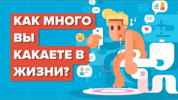 Видео Как много вы какаете в жизни? на русском