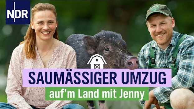 Video Neue Herausforderung: zwei Schweine für den Bauernhof | Folge 14 | NDR auf'm Land in Deutsch