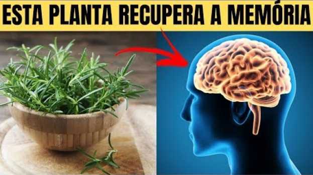 Video Esta Planta é Recupera Sua MEMÓRIA, e Ainda Protege Seu Cérebro do Alzheimer e Depressão! su italiano