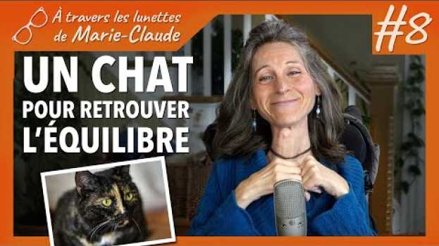 Video À travers les lunettes de Marie-Claude #8 - UN CHAT POUR RETROUVER L'ÉQUILIBRE en Español