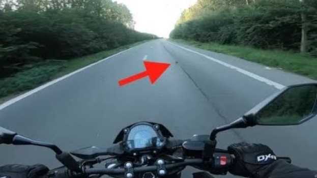Video Парень разглядел «точечку» на дороге, которая оказалась котенком. Действовать нужно было немедленно in Deutsch