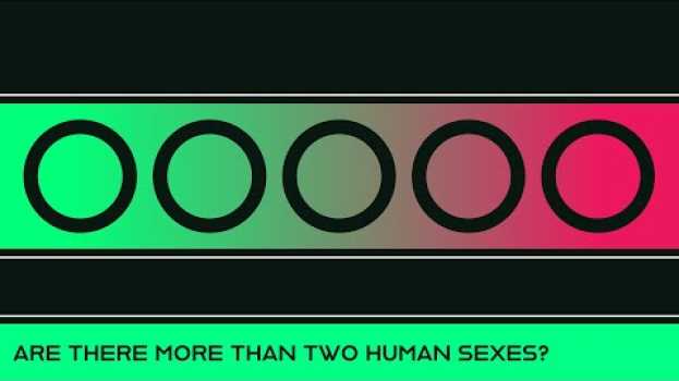 Video Are There More Than Two Human Sexes? (A Response to SciShow) su italiano