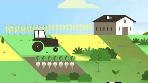 Video Qu'est-ce que la Biomasse ? | Passion Céréales su italiano