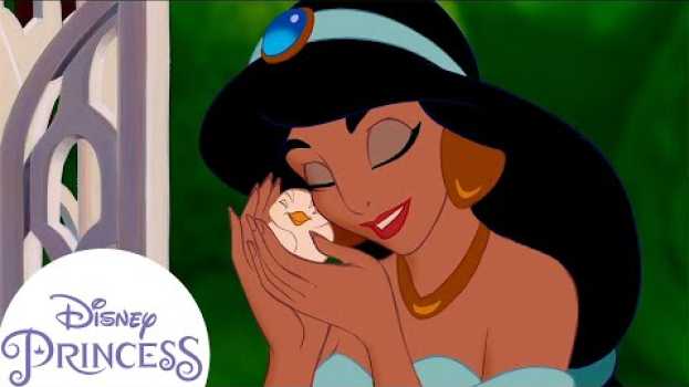 Video Disney Princesses and Their Animal Friends! | Disney Princess em Portuguese