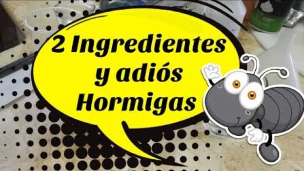 Video 🐜Elimina las Hormigas para SIEMPRE |Remedio Casero🐜#adaespinosa#amodomio#hormigas#remediocasero em Portuguese