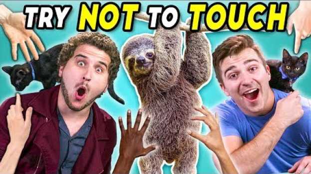 Видео Try Not To Touch Challenge (ft. Sid The Sloth!) на русском