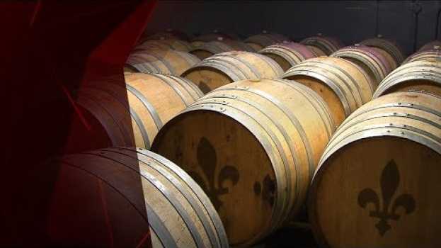 Video Les vins québécois ont la cote su italiano