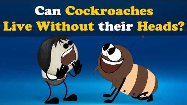 Video Can Cockroaches live without their Heads? + more videos | #aumsum #kids #education #children em Portuguese