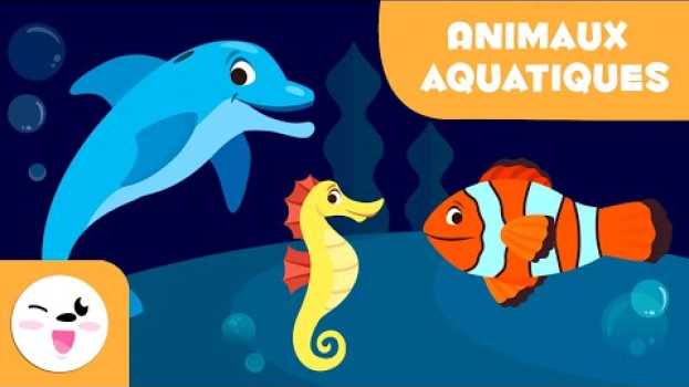 Video Les animaux aquatiques pour enfants-Vocabulaire pour les enfants na Polish