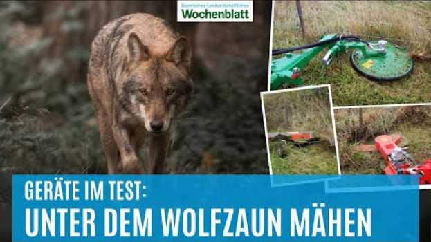 Video Landtechnik im Test: Unter dem Wolf-Zaun mähen | Elektrozäune in Stand halten in English