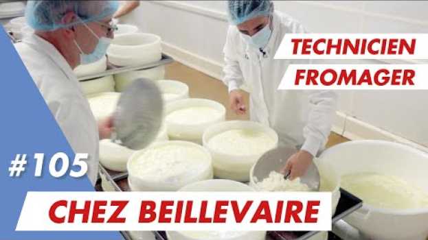 Video On en fait tout un fromage chez Beillevaire dans la Brie avec Régis ! em Portuguese