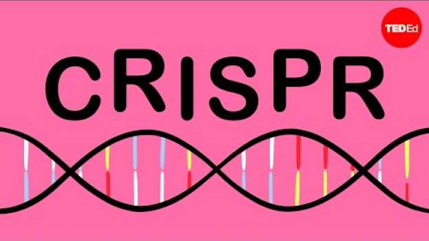 Video How CRISPR lets you edit DNA - Andrea M. Henle na Polish