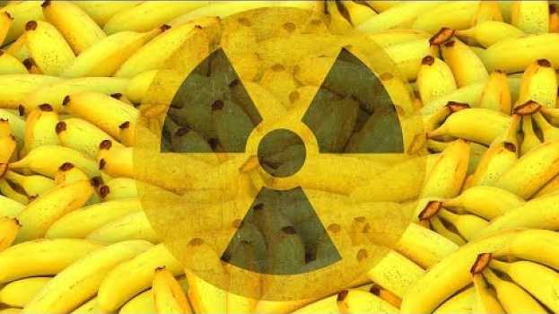 Video Сколько бананов нужно съесть, чтобы умереть от радиации [Plushkin] su italiano
