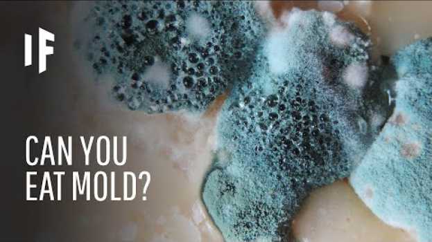Video What Happens If You Eat Mold? su italiano