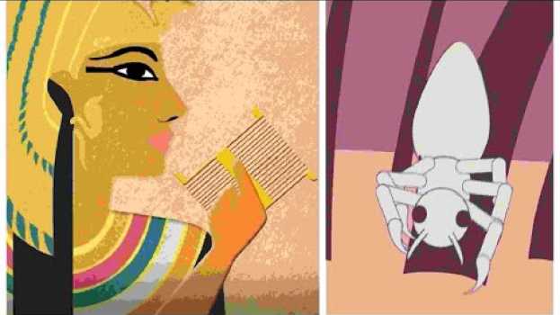 Video Dagli incubi di Cleopatra ad oggi: perchè i pidocchi resistono a tutto e tutti | Insider Italiano em Portuguese