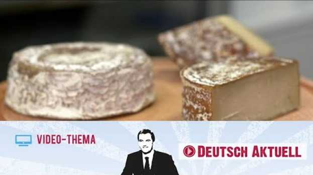 Video Deutsch lernen mit Videos | Schweizer Käse: jetzt auch vegan | mit deutschen Untertiteln in Deutsch