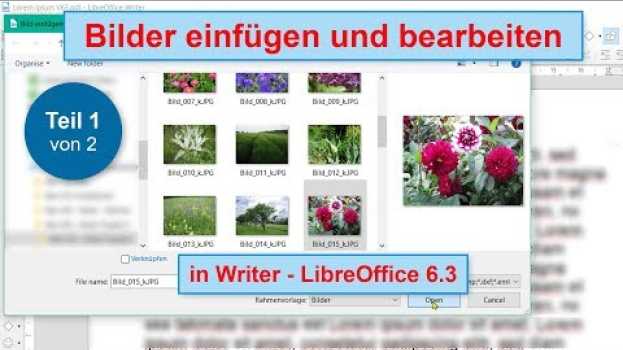 Video Bilder einfügen und bearbeiten Teil 1 - in Writer, LibreOffice 6.3 (German/Deutsch) en Español