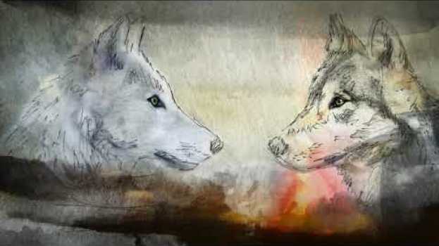 Video Les deux loups, légende amérindienne in Deutsch