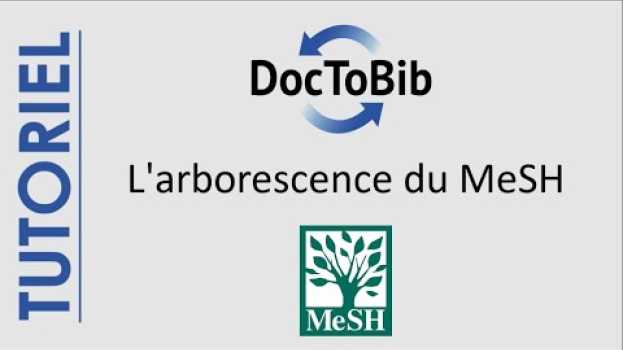 Video 09 - L'arborescence du MeSH 3/4 su italiano