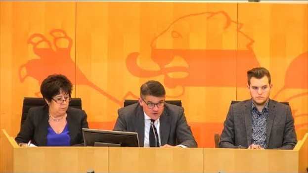 Video Beschlussempfehlungen der Ausschüsse zu Petitionen - 29.01.2020 - 31. Plenarsitzung em Portuguese