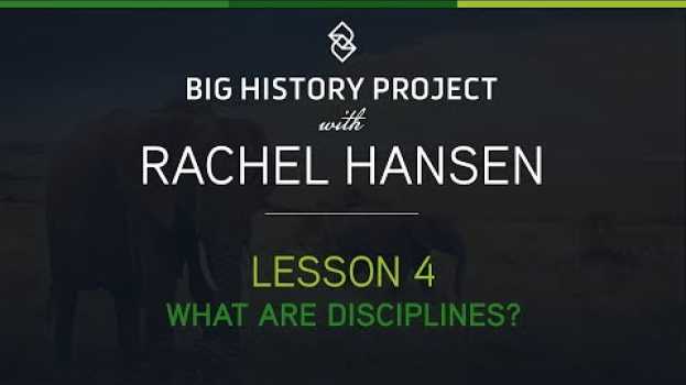 Video Lesson 4: What Are Disciplines? | BHP with Rachel Hansen in Deutsch