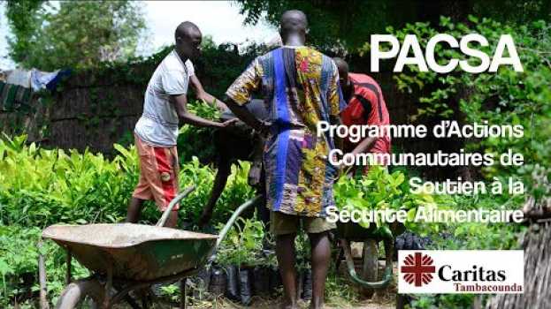 Video Projet PACSA - Pour ceux qui ont faim in Deutsch