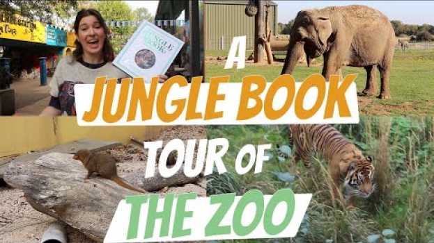 Video A Jungle Book Tour of the Zoo | #BookBreak na Polish