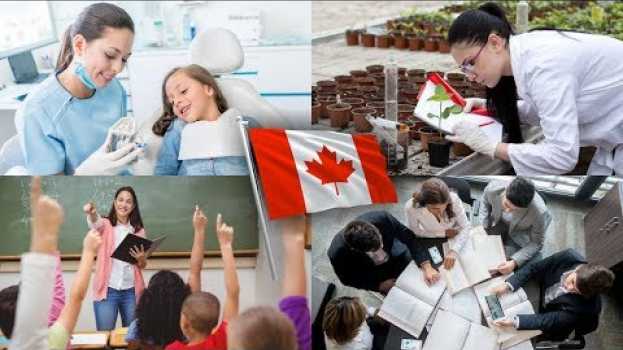 Video 10 Carreras Universitarias Mejor Pagadas En Canadá 2023 🤑 en français