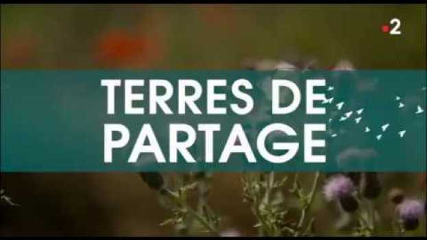 Video [TERRES DE PARTAGE] Les paysages sont l’affaire de tous | Les Céréales em Portuguese