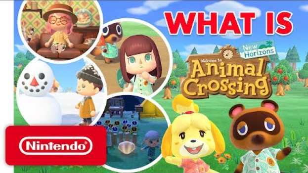 Video What Is Animal Crossing: New Horizons? A Guide for the Uninitiated en français