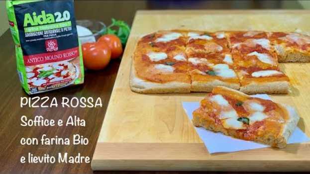 Video PIZZA ROSSA SOFFICE E ALTA con farina bio e lievito madre su italiano
