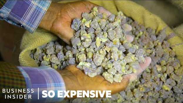 Видео Why Frankincense And Myrrh Are So Expensive | So Expensive на русском
