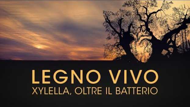 Video LEGNO VIVO. XYLELLA, OLTRE IL BATTERIO - TRAILER ITA | documentario en français