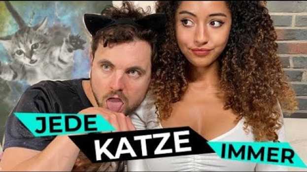 Video Jede KATZE immer | Phil Laude in English
