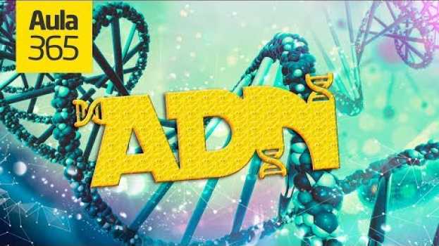 Video ¿Qué es el ADN? | Videos Educativos Aula365 in English