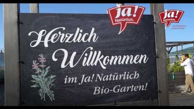 Video Kennst du schon den Ja! Natürlich Dachgarten? na Polish