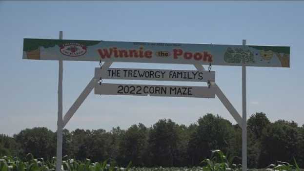 Video Treworgy Family Orchards unveils 2022 corn maze design na Polish