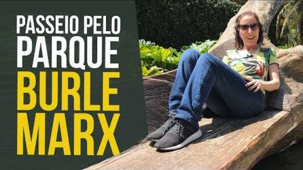 Video 🌴💚 Passeio pelo Lindo Parque Burle Marx! | Nô Figueiredo na Polish