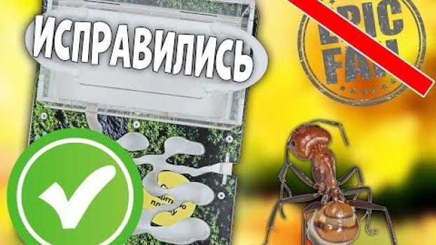 Video Antplanet исправили муравьиные фермы, теперь они опять перезапускаются :) na Polish