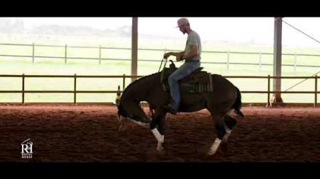 Video Haras Sacramento comprova: só Royal Horse é Royal Horse. in Deutsch