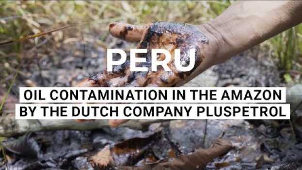 Видео Oil On Their Hands - Spills by Dutch Pluspetrol leave indigenous communities contaminated на русском