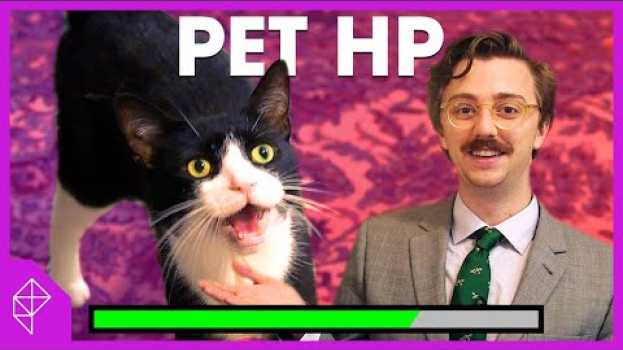 Видео Calculate your pet's HP with my 100% legitimate formula | Unraveled на русском