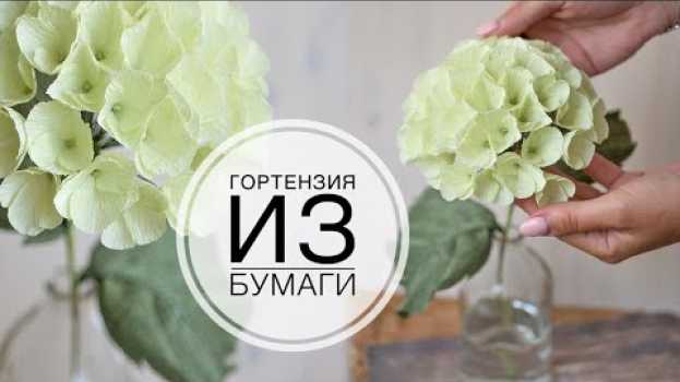 Видео Hydrangea made of paper, easy and simple / Гортензия из бумаги, легко и просто / DIY Tsvoric на русском