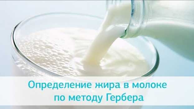 Video Определение жира в молоке по методу Гербера en Español