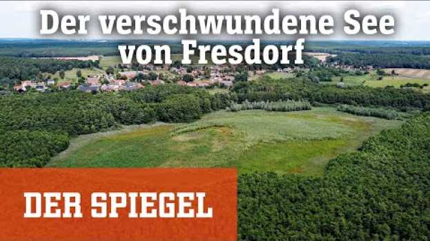 Video Klimawandel in Deutschland: Der verschwundene See von Fresdorf | DER SPIEGEL en français